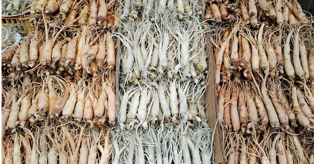 Ginseng Roots Displayed at Gyeongdong Market