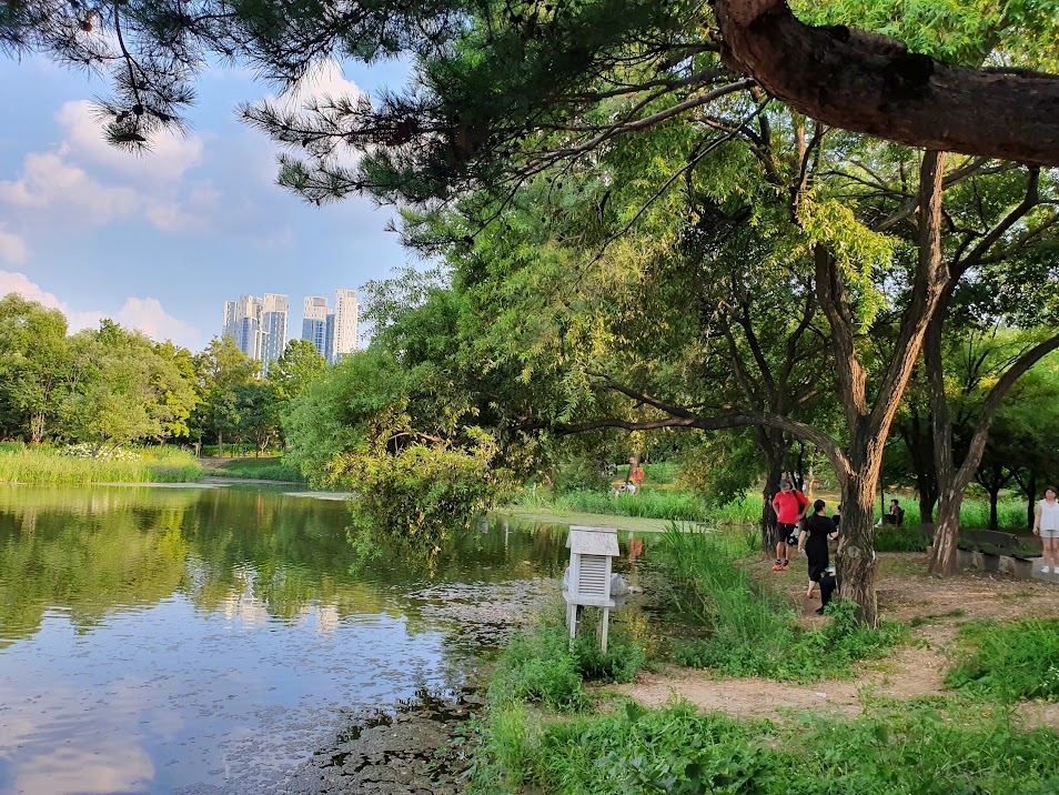 seoul forest lake