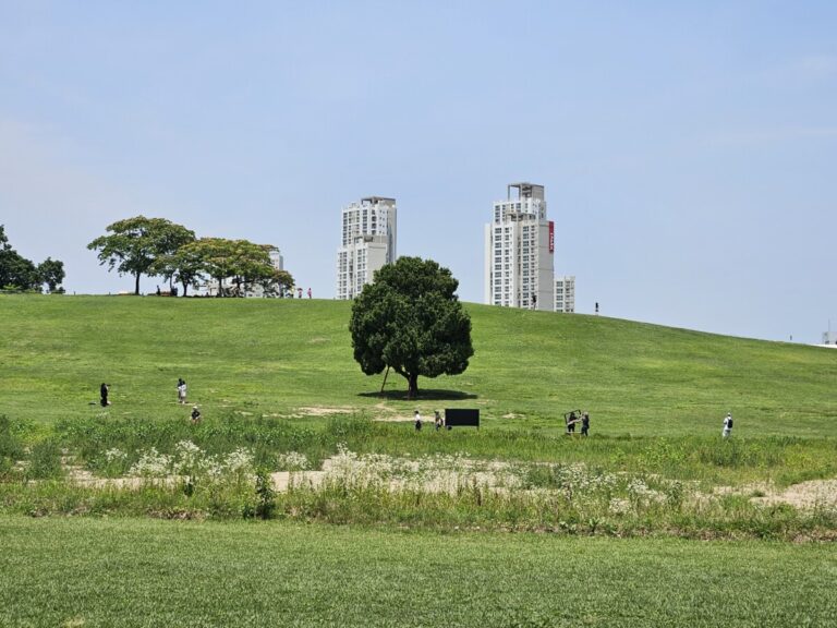 Best Parks in Seoul: Ultimate Guide to K-culture, Nature & Local Lifestyle
